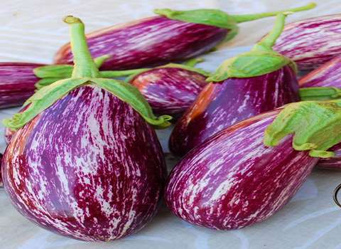 تصویر 1 از خرید بادمجان ابرقویی